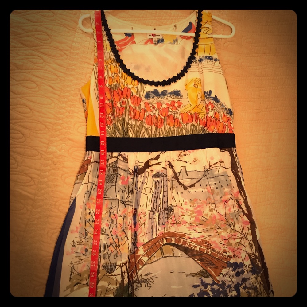 Vera Silk dress w colorful scene & country theme